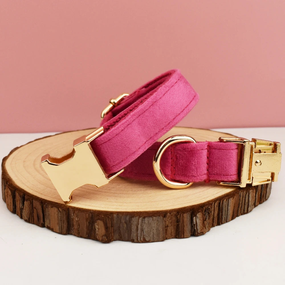 Collier chien velours personnalisé gravé premium
