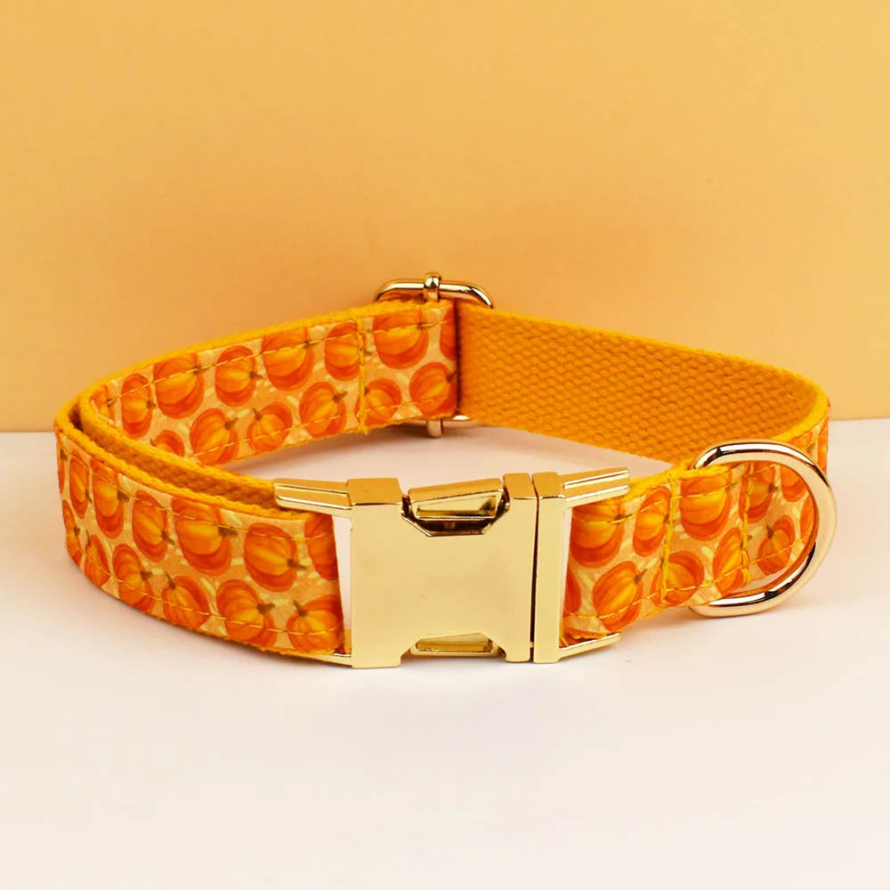 Collier chien Halloween personnalisé gravé – Sécurité & confort