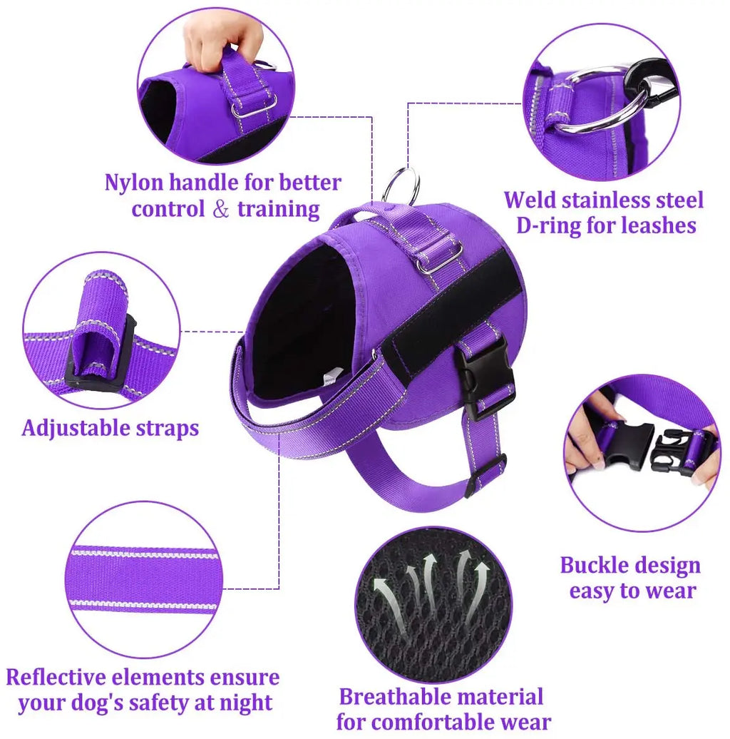 Harnais chien réfléchissant
