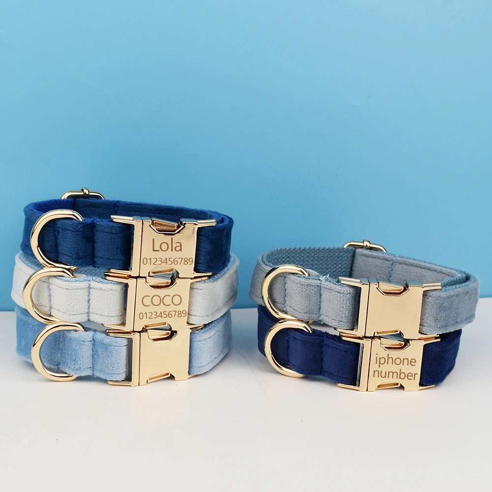 Collier chien velours personnalisable