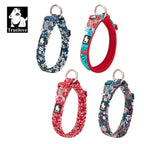 Collier chien