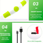 Collier LED chien USB lumineux rechargeable nuit