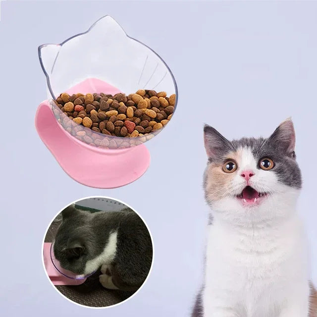 Collier chien durable