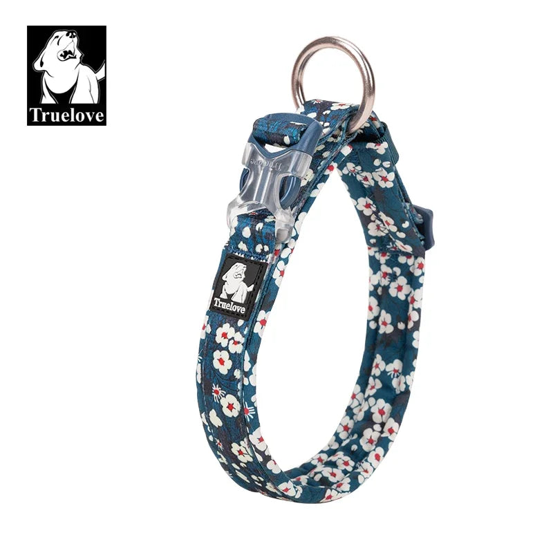 Collier chien