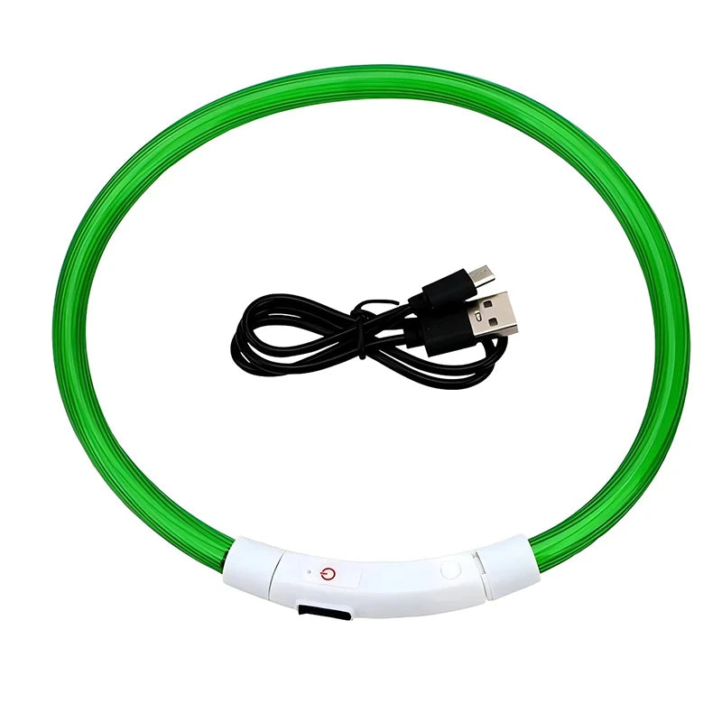 Collier LED chien USB lumineux rechargeable nuit