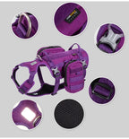 Harnais chien étanche