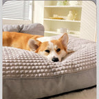 Canapé chien grande taille couchage profond hiver