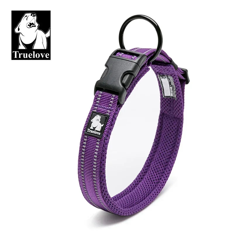 Collier chien réfléchissant