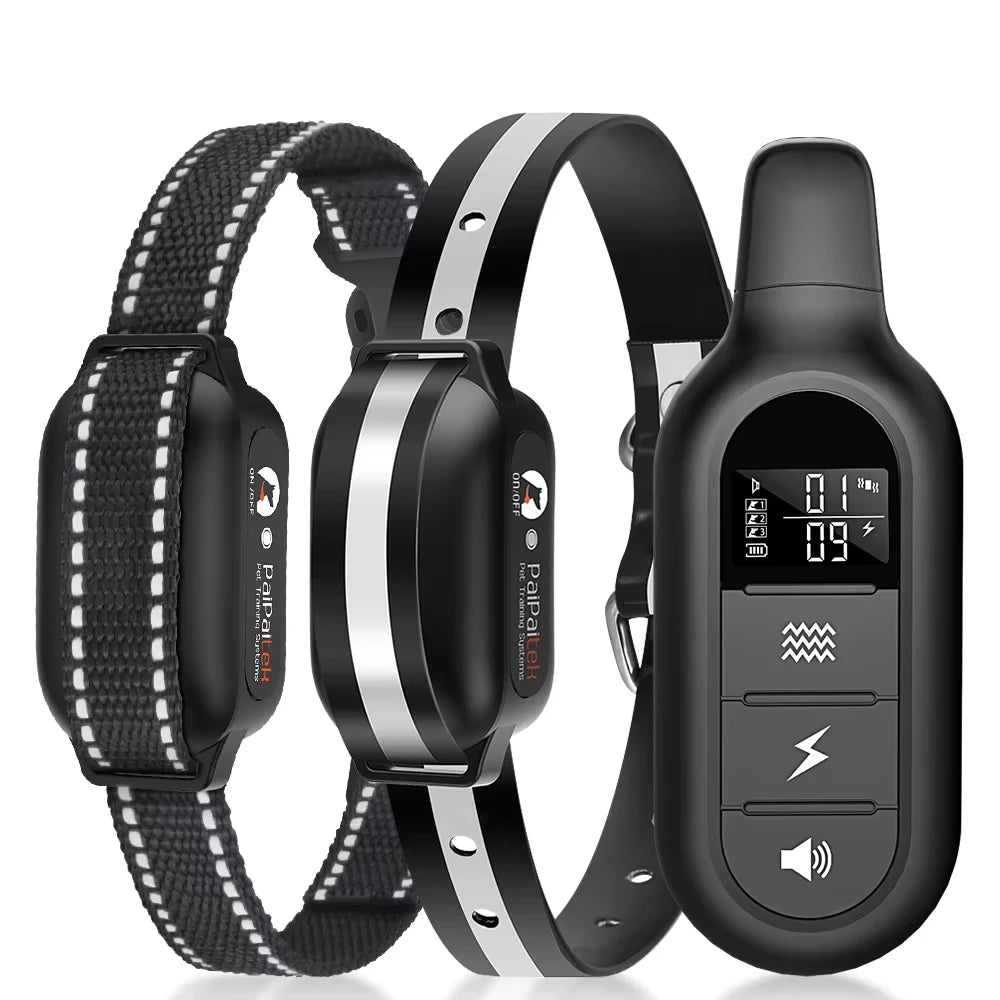 Collier dressage chien 1000 m étanche rechargeable