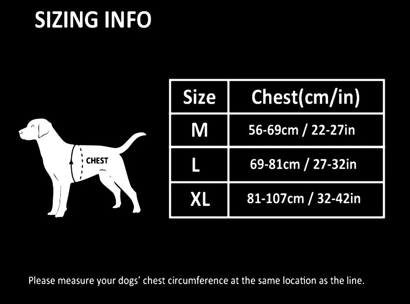 Harnais chien réfléchissant