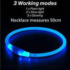 Collier LED chien USB lumineux rechargeable nuit