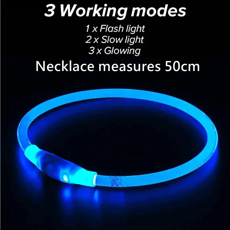 Collier LED chien USB lumineux rechargeable nuit