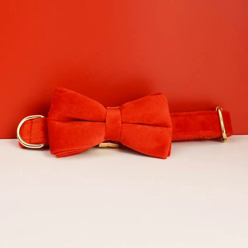 Collier chien velours personnalisé