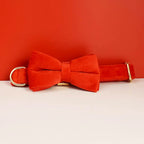 Collier chien velours personnalisé