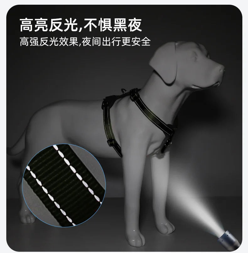 Harnais chien anti-traction