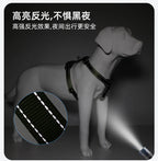 Harnais chien anti-traction