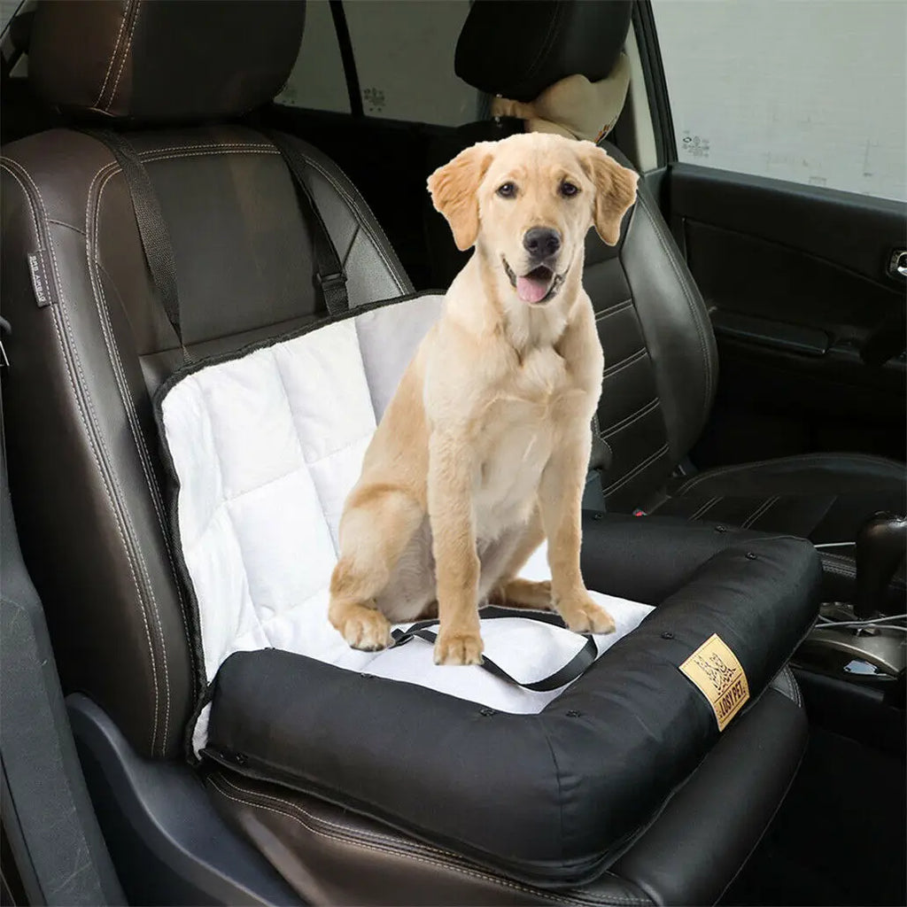 Siège auto chien coussin imperméable ceinture sécurité