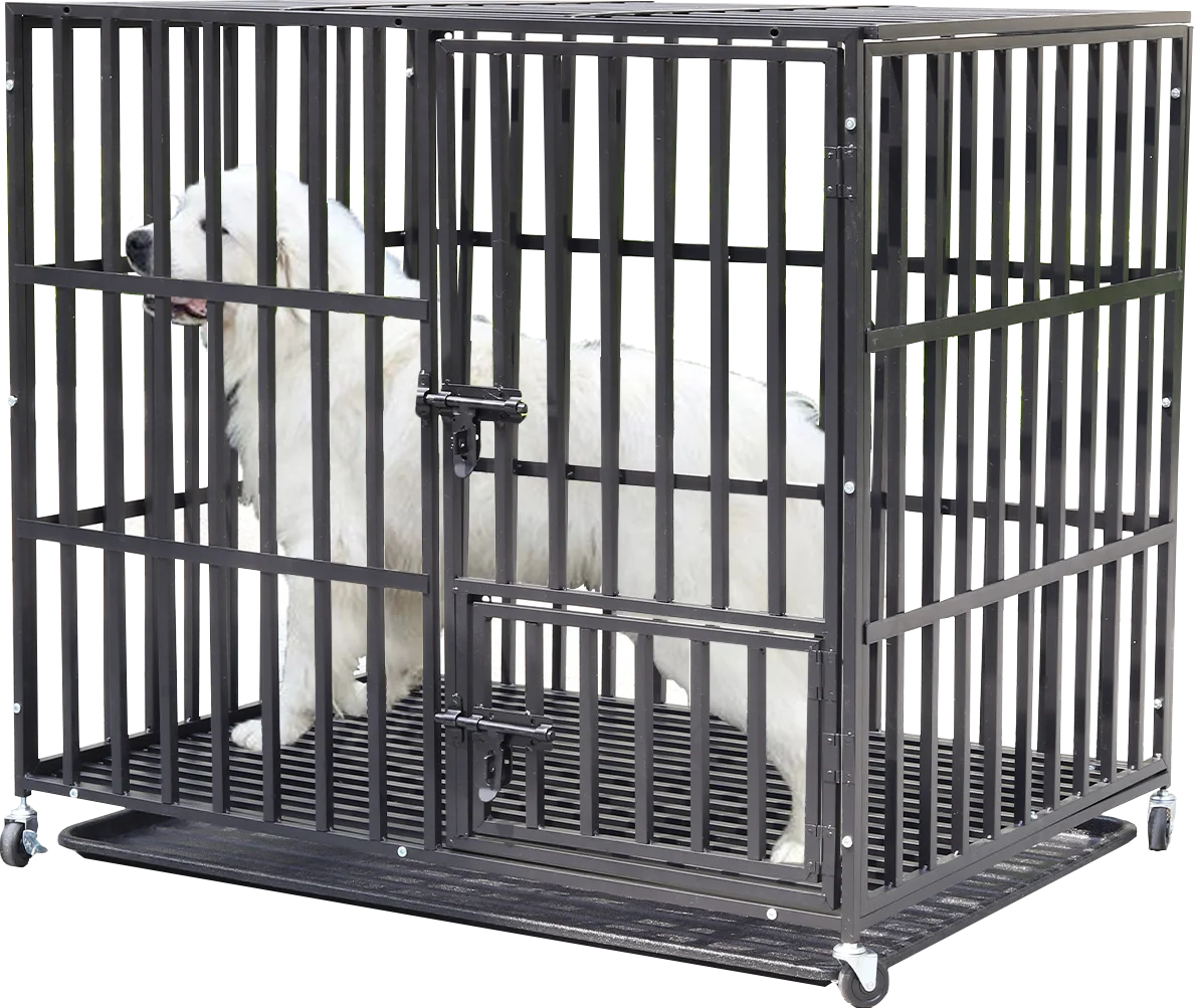 Cage chien métal robuste 3 portes roulettes bac amovible