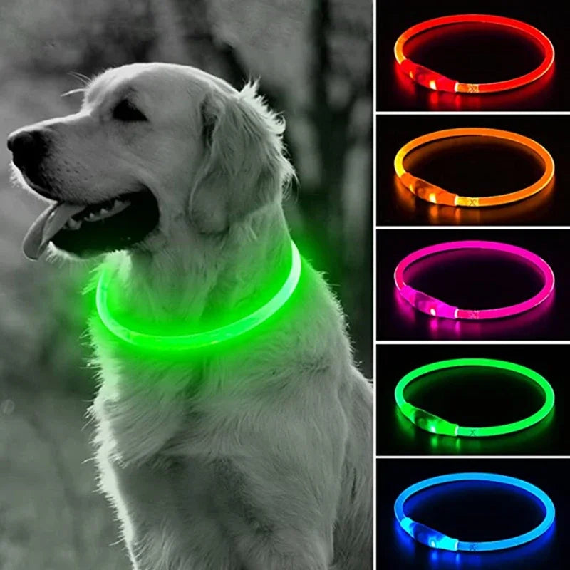 Collier LED chien USB lumineux rechargeable nuit