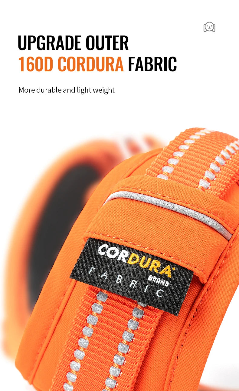 Harnais chien anti-traction