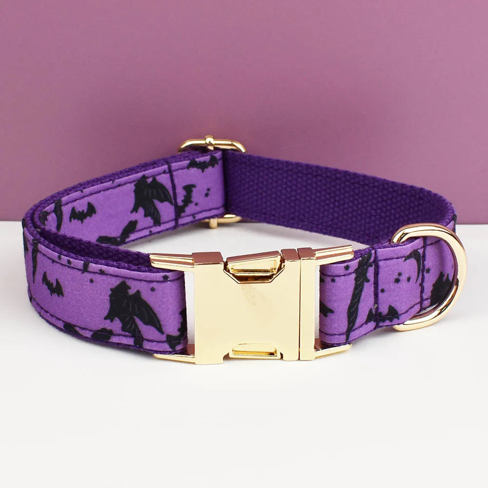 Collier chien Halloween personnalisé gravé – Sécurité & confort