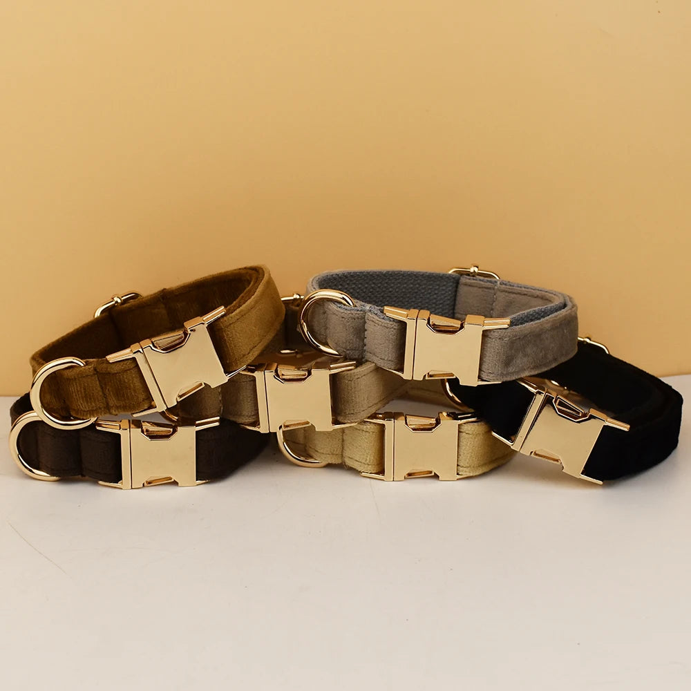 Collier chien velours personnalisé