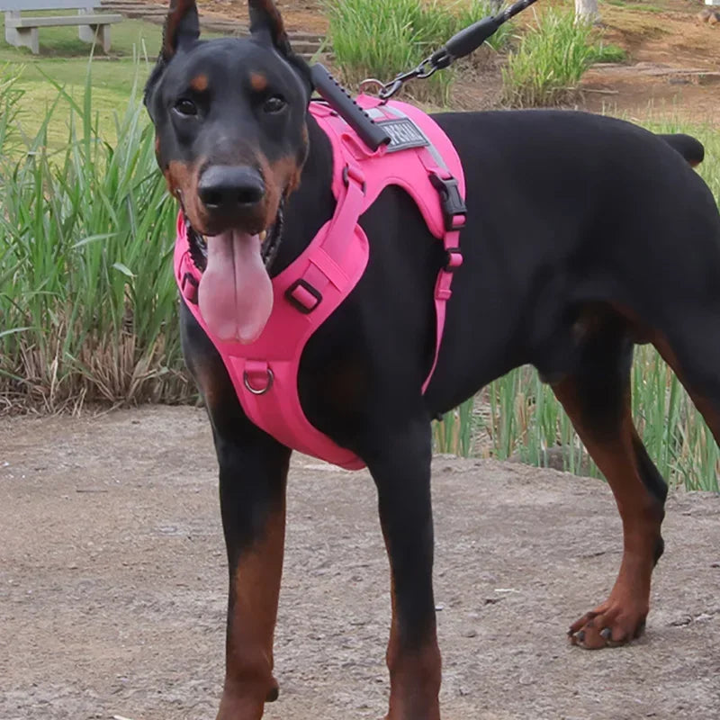 Harnais chien anti-traction