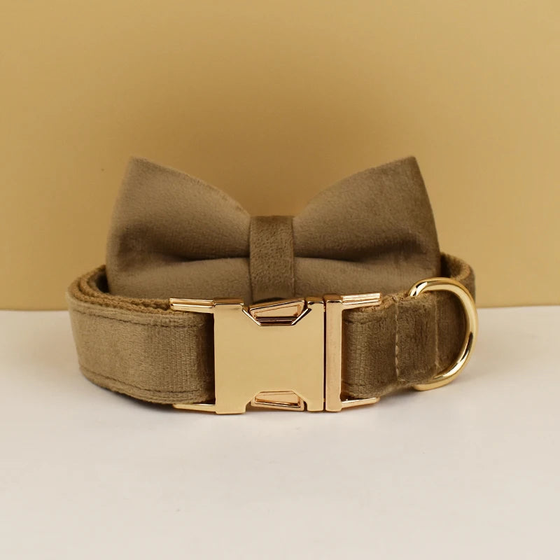 Collier chien velours personnalisé