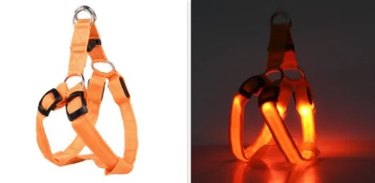 Harnais chien réfléchissant