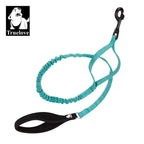 Laisse chien durable