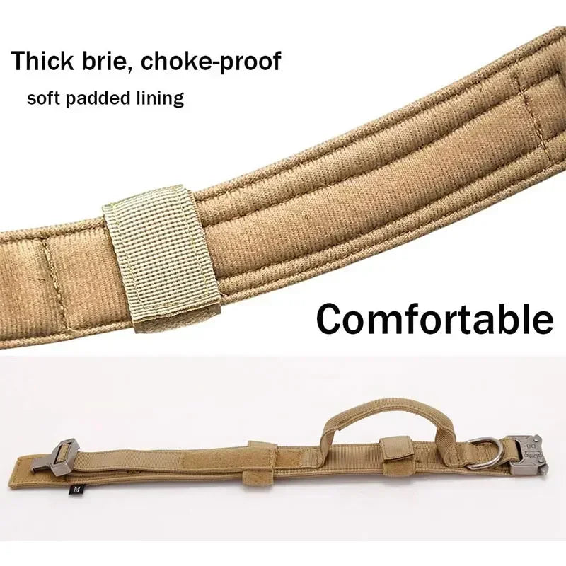 Collier tactique chien sport traction dressage