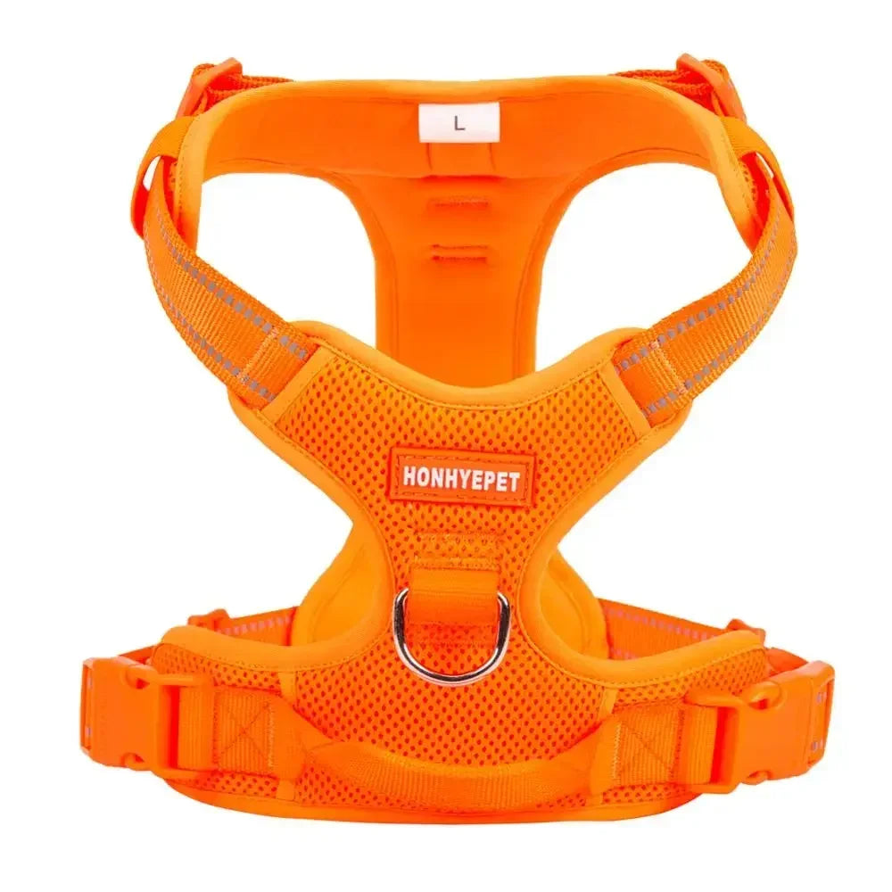 Harnais chien réfléchissant