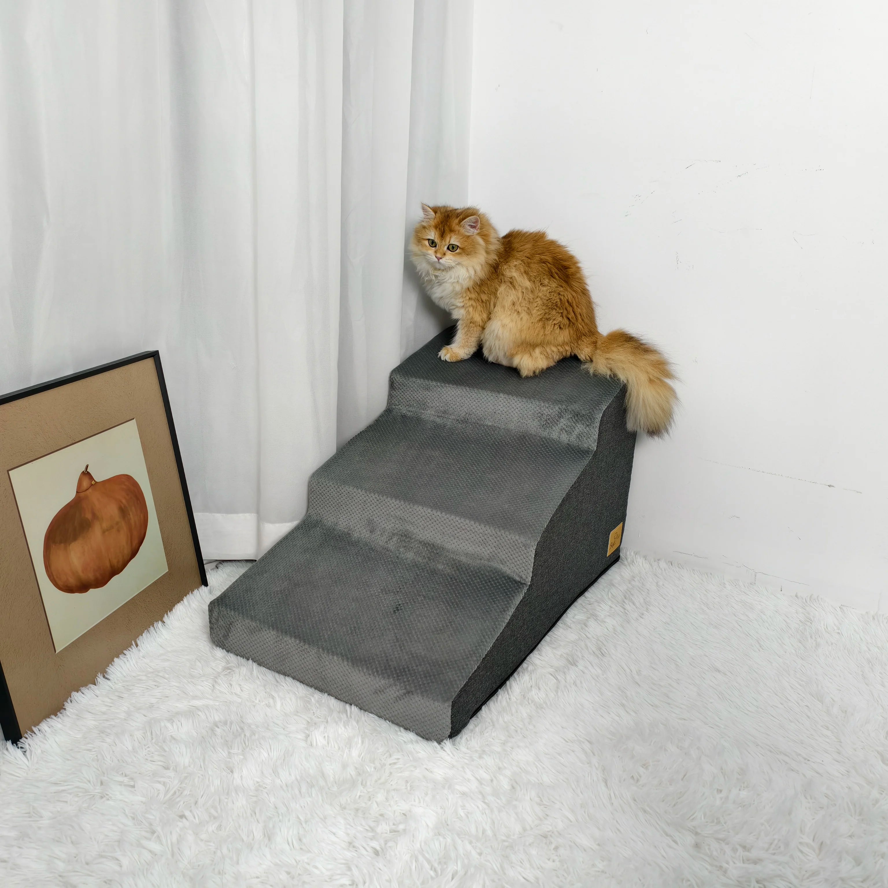 Escaliers antidérapants pour petit chien – Accès sécurisé canapé & lit