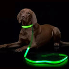 Laisse LED chien lumineuse clignotante sécurité nuit