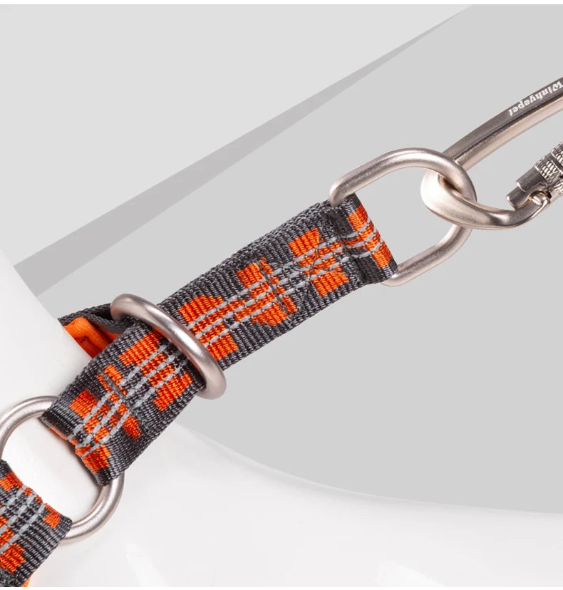 Collier chien réfléchissant