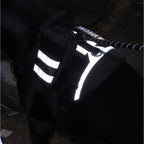 Harnais chien anti-traction