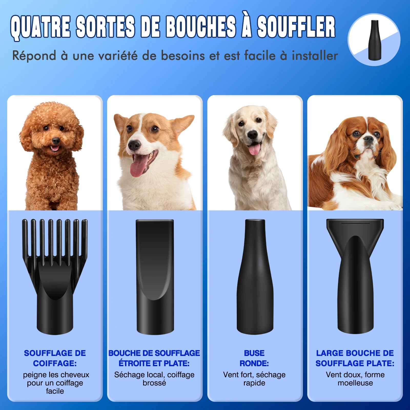 Souffleur toilettage chien chat 3500W vitesse réglable