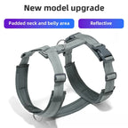 Harnais chien réfléchissant