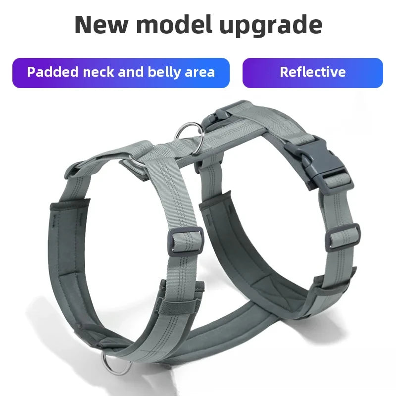 Harnais chien réfléchissant