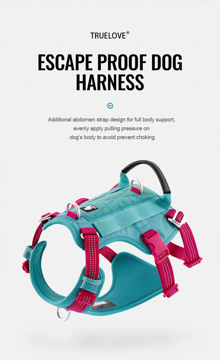 Harnais chien anti-traction