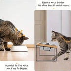 Gamelles chat surélevées 15° anti-vomissement