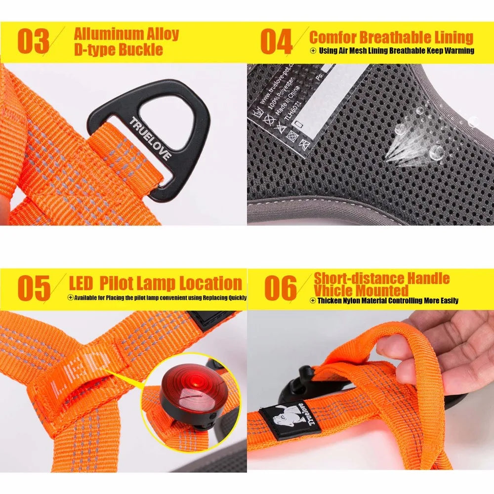 Harnais chien anti-traction