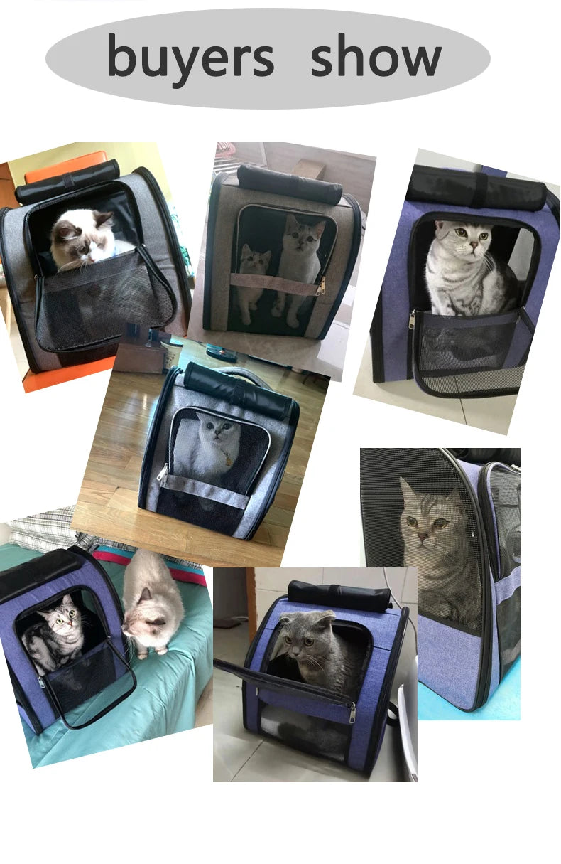 Sac à dos transport chat maille respirante léger