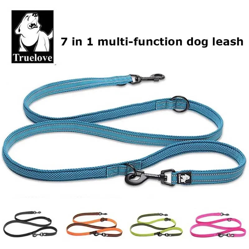 Laisse chien durable réfléchissant