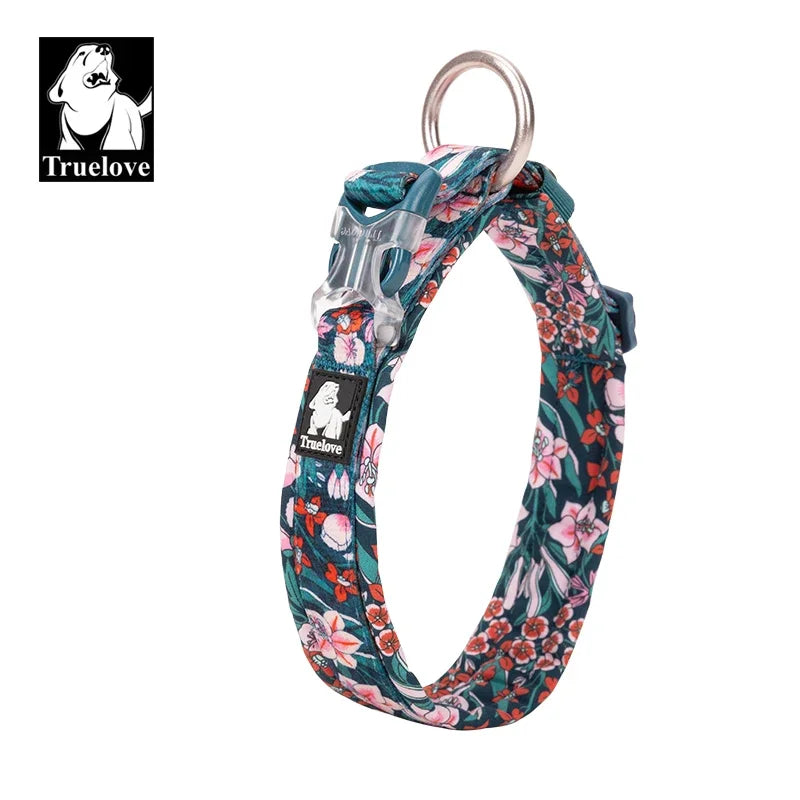 Collier chien