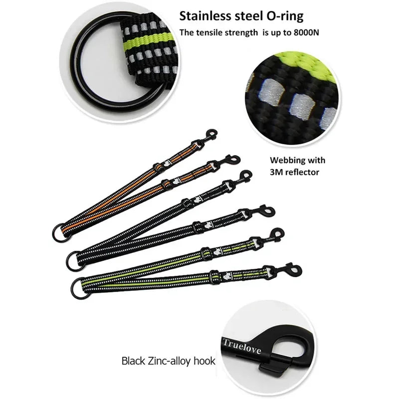 Laisse chien durable réfléchissant