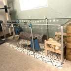 Parc chien acrylique transparent mise bas imperméable