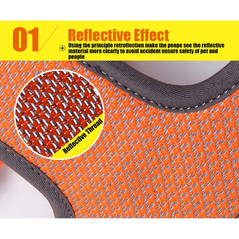 Harnais chien anti-traction