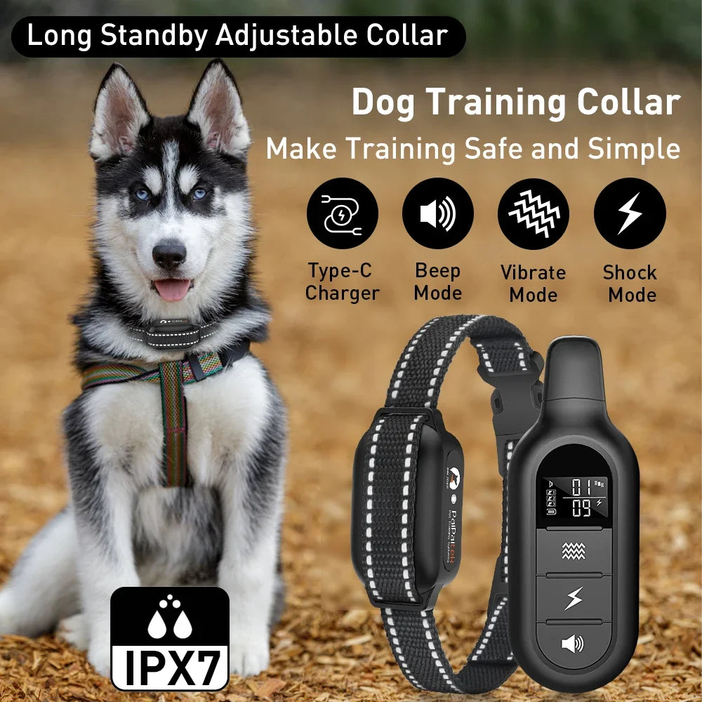 Collier dressage chien 1000 m étanche rechargeable