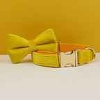 Collier chien velours personnalisé